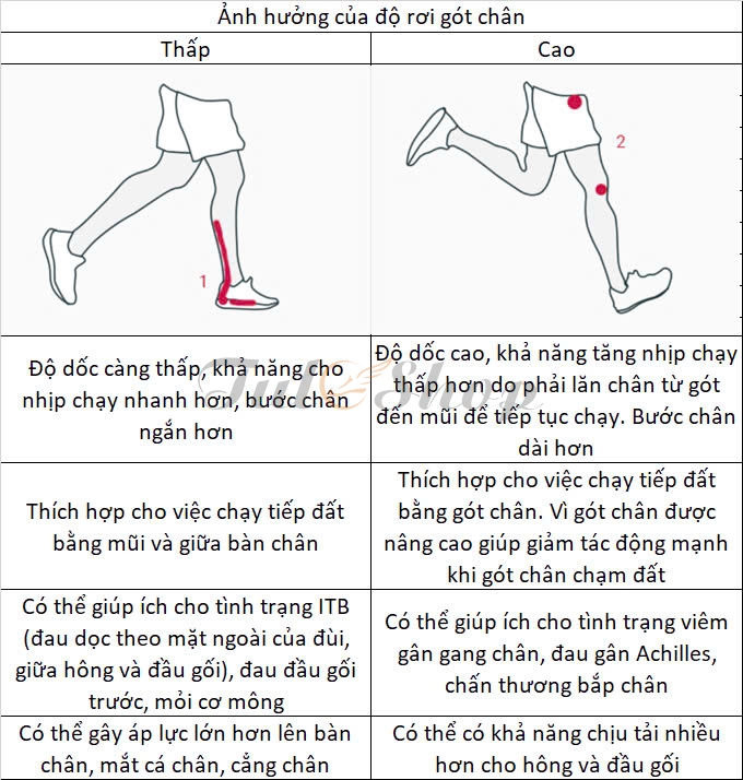 Heel to toe drop là gì?