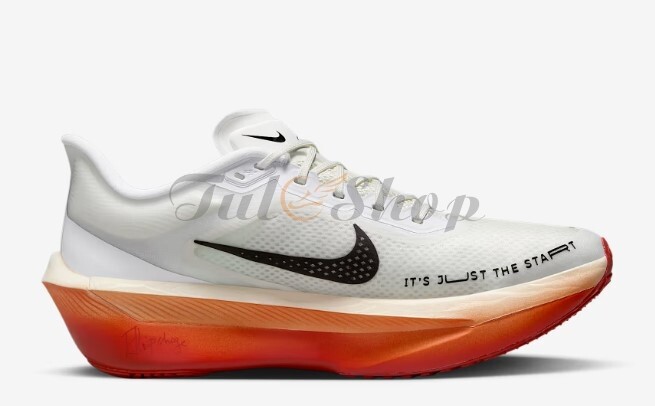 Nike Zoom Fly 6