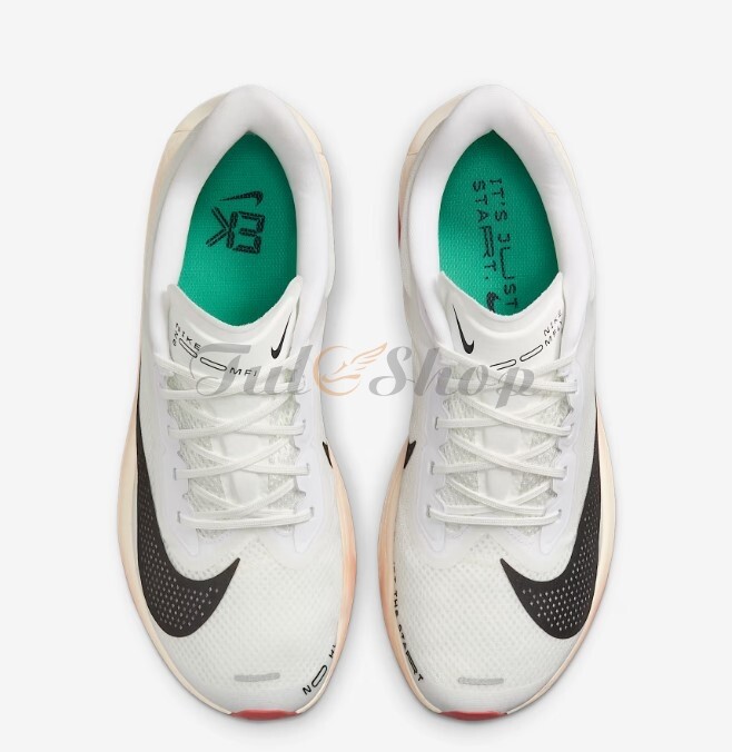 Nike Zoom Fly 6