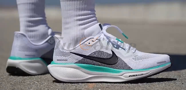 Pegasus 41