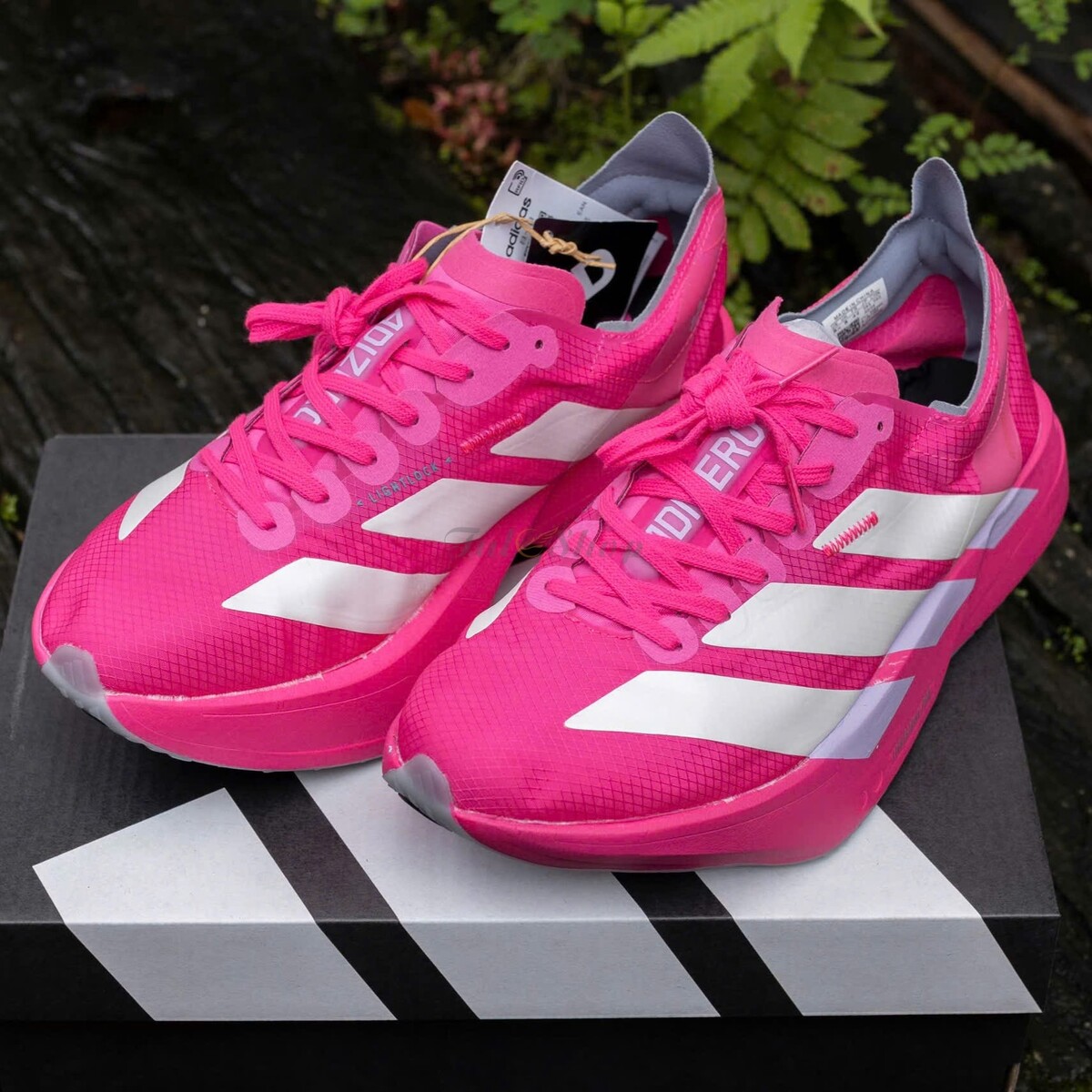 Adizero Adios Pro 4 Shock Pink