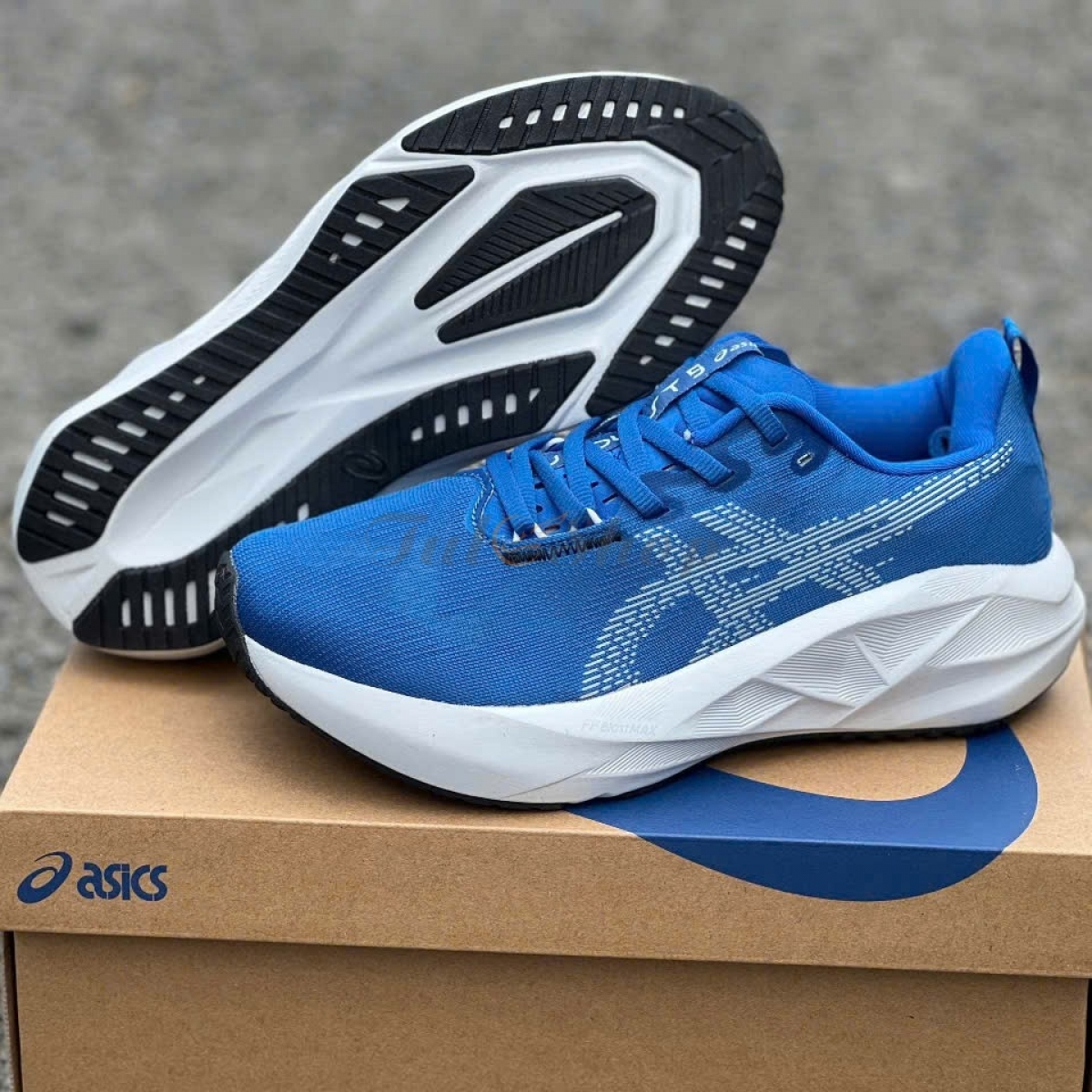 Asics Novablast 5 Illusion Blue/Light Blue