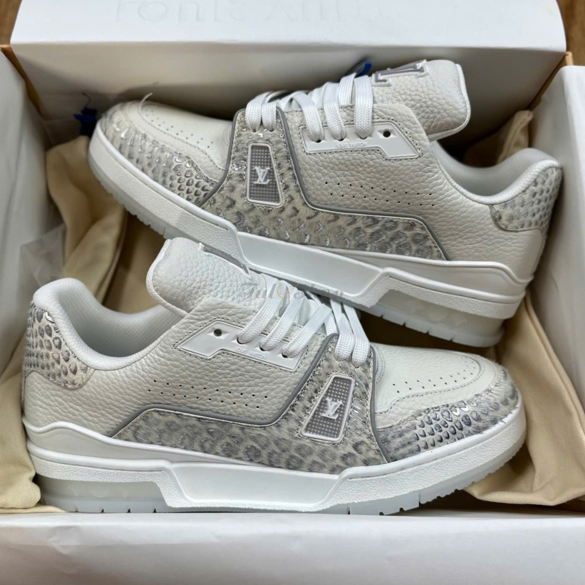 LV54 Trainer Year Of Dragon Grey Best