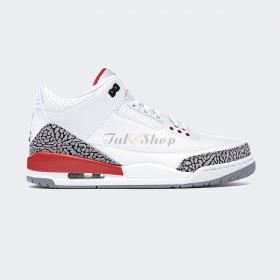 Nike Air Jordan 3 Hall Of Fame