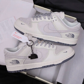 Nike Dunk Low Retro The North Face White Grey