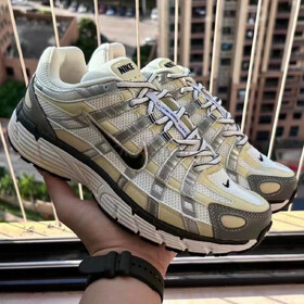 Nike P-6000 Coconut Milk Metallic Silver