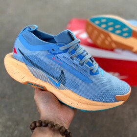 Nike Pegasus Trail 5 Gore-Tex Blue Beyond Copper Moon Monarch Blue Void